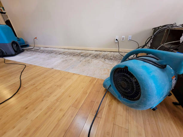 Professional Structural Drying technician working in Las Animas, CO